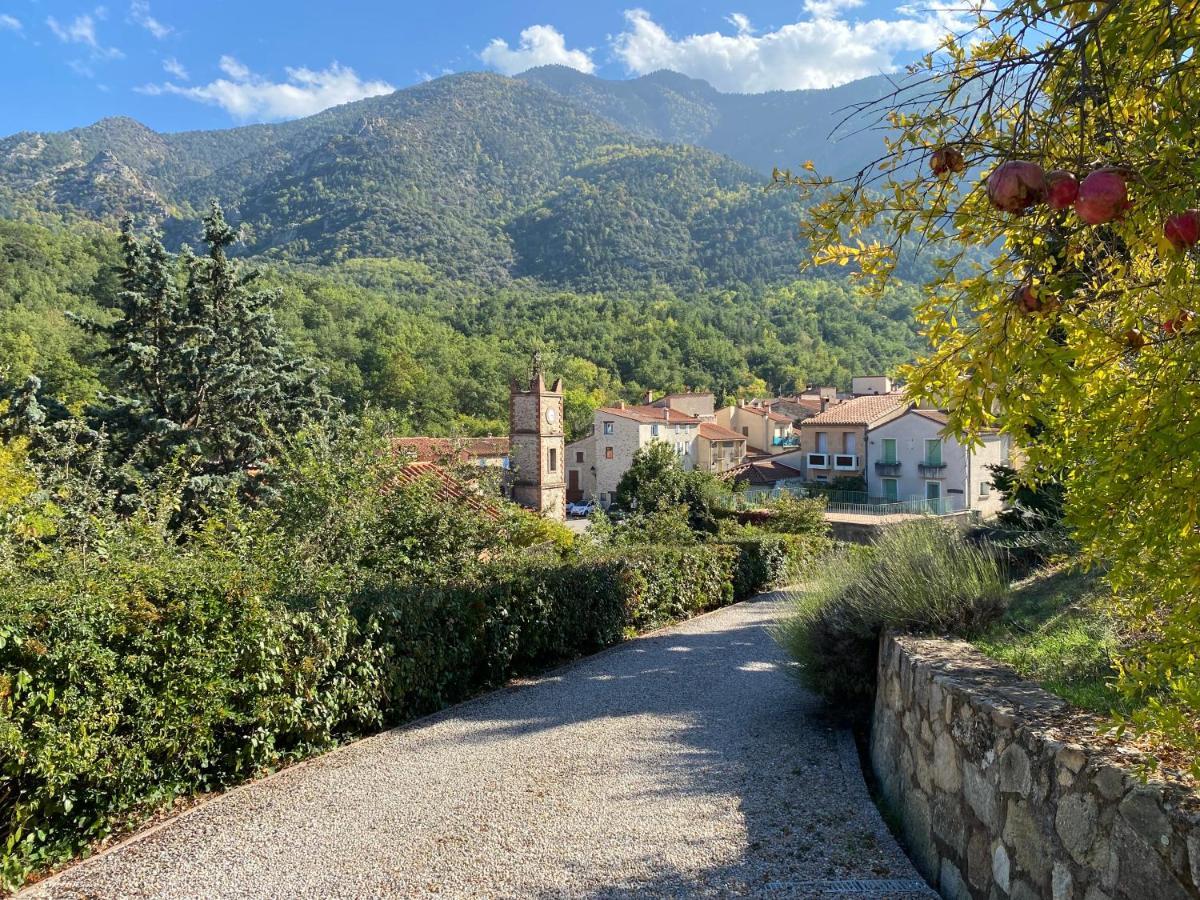 Et Les Glycines Clara