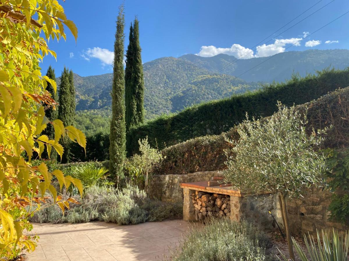 Appartement Et Les Glycines